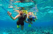 Atv and Snorkeling Combo Tour 