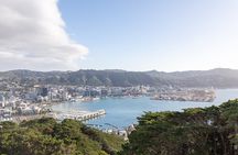 Half Day Guided Tour in Wellington including Cable Car