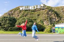Half Day Guided Tour in Wellington including Cable Car