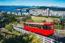 Full Day Guided Wellington Tour including Cable Car