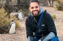 Exclusive Full Day Tour Penguin Colony in Punta Tombo from Madryn