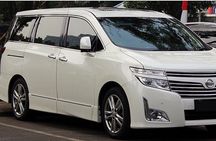 One day fully customize the tour for kamakura and Yokohama