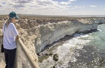 Sea Lions at Punta Loma and City Tour from Puerto Madryn