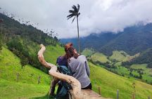 Private Full Day Tour in Cocora Valley and Coffee Farm