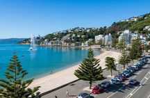 Full Day Guided Wellington Tour including Cable Car