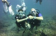 Guided dive for certified divers