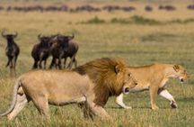 4 Days Safari Tour in Tanzania’s most Iconic Parks