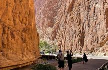 Marrakech to Fes: 2 Days and 1 Night Camel Trekking Experience