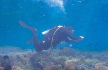 Diving and snorkling on gili sekotong