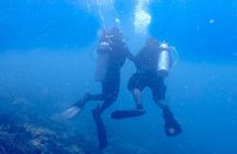 Diving and snorkling on gili sekotong