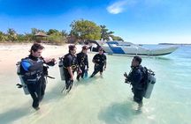 Diving and snorkling on gili sekotong