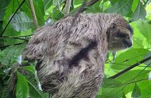 Corcovado National Park: Mermaid day tour from Puerto Jimenez