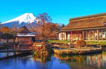 From Tokyo:Mount Fuji Lake Kawaguchi, Oshino Hakkai,Shrine Tour