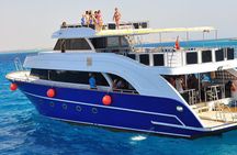 Dolphin House Sea Trip with Snorkeling Adventure - Marsa Alam