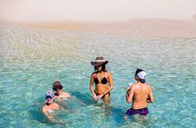 Private Catamaran + Private Parasailing - up to 20 passengers 