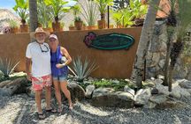 City Tour in Ixtapa Zihuatanejo Including Food Tastings