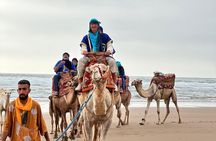 From Agadir or Taghazout : Sunset Camel Ride with BBQ & Music Sow
