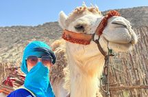 From Agadir or Taghazout : Sunset Camel Ride with BBQ & Music Sow