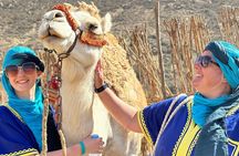From Agadir or Taghazout : Sunset Camel Ride with BBQ & Music Sow