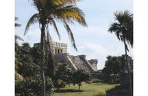 Private Tour to Tulum, Cenote and Swimming with Turtles