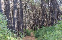 Lord of the Rings 1/2 day Tour to rule them all