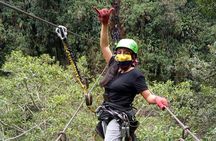 Canopy - ZipLine - 2000m. Adventure Circuit - in 6 Lines 