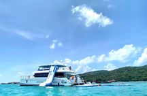  Koh Tan and Pig Island Half-Day Tour by Speed Catamaran 