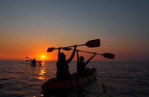 Kayak Tour in Bahrain Bay
