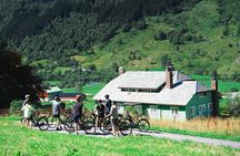 Olden: Fjord e-bike tour