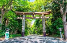 Private Custom Tokyo Tour with a Tokyo Resident Pro Guide By Car