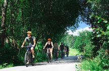 Olden: Fjord e-bike tour