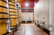 Visit La Joya Escondida de la Ribera del Duero Winery