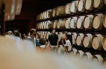 Visit La Joya Escondida de la Ribera del Duero Winery
