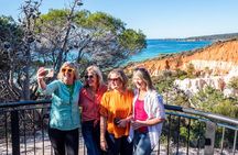 5hr Eden Tour in Nature; Beach, Lookout & National Park