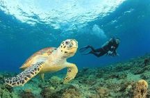 Hamata & Qulaan Islands full day Snorkeling with Lunch- El Quseir