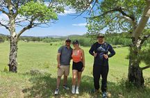 Guided Hike in the Rockies