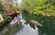 Clear Kayak Three Sisters Springs Sunset and Glow Tour