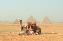 Sharm El Sheikh: Pyramids & Museum Day Tour By Bus With Lunch