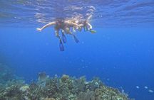 Roatan Reef Snorkel Adventure 