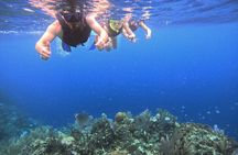 Roatan Reef Snorkel Adventure 