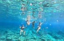 Boat tour in Alghero, swimming and snorkelling, small aperitif