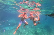 Boat tour in Alghero, swimming and snorkelling, small aperitif