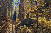 Big Bear Fall Colors Hiking Tour in Southern California