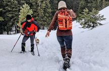 Snowshoe Tour Big Bear Lake with Hot Chocolate