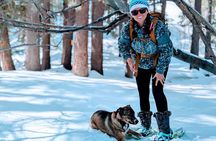 Snowshoe Tour Big Bear Lake with Hot Chocolate