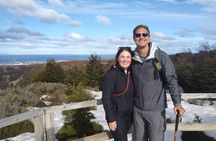 Magallanes National Reserve and Punta Arenas City Tour