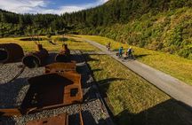 Remutaka Rail Trail Explorer - eBike Cruise Ship Shore Excursion