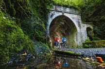 Remutaka Rail Trail eBike Explorer Cycle Tour