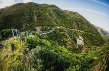 Remutaka Rail Trail eBike Explorer Cycle Tour