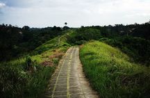 Kintamani Volcano View Tour